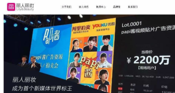 电商风云录 2016爆发式增长背后的经营智慧与资本力量